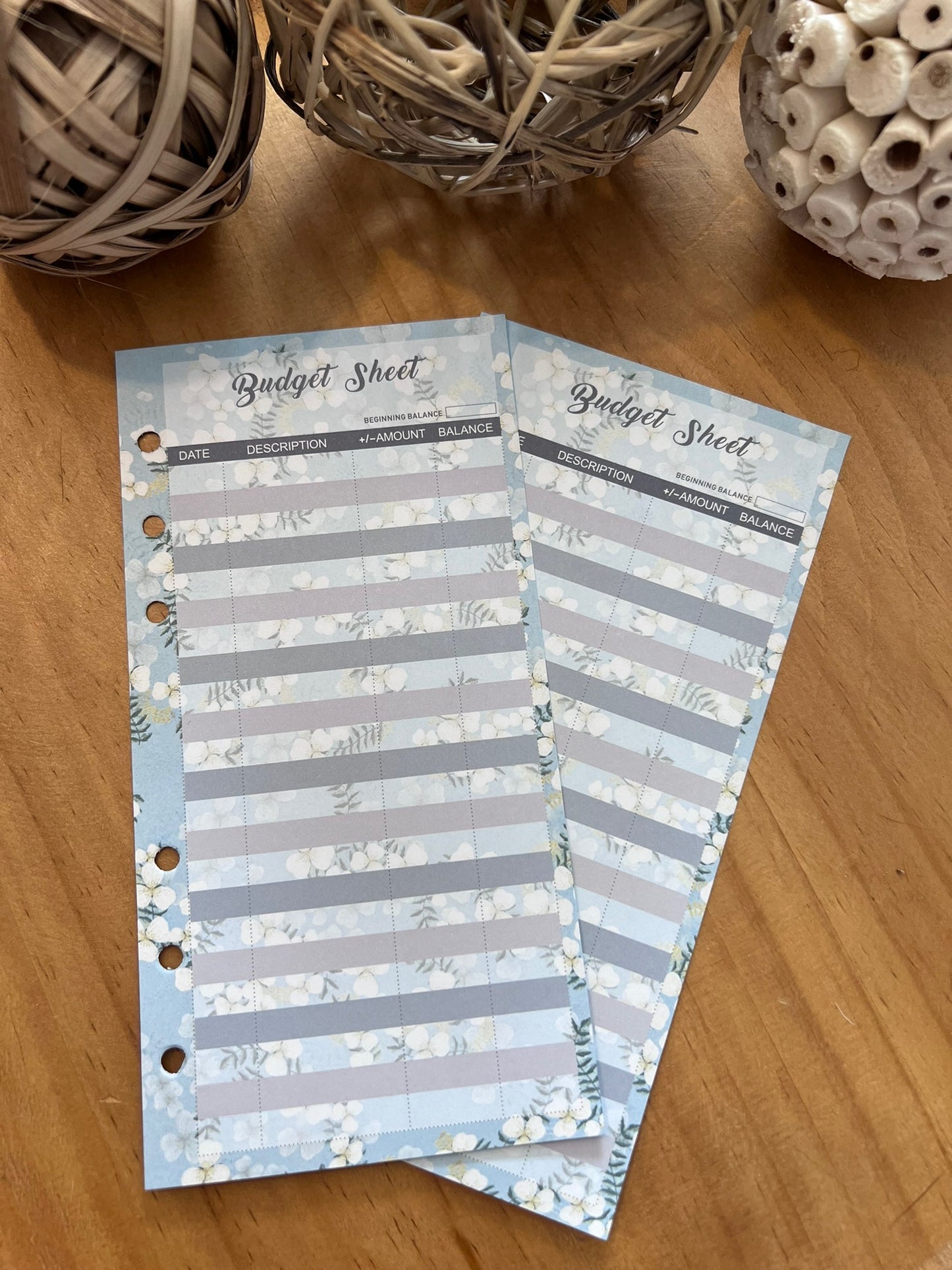 Budget Sheets